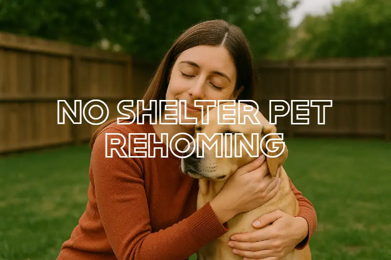 Why No-Shelter Rehoming Might Be the Future of Animal Welfare