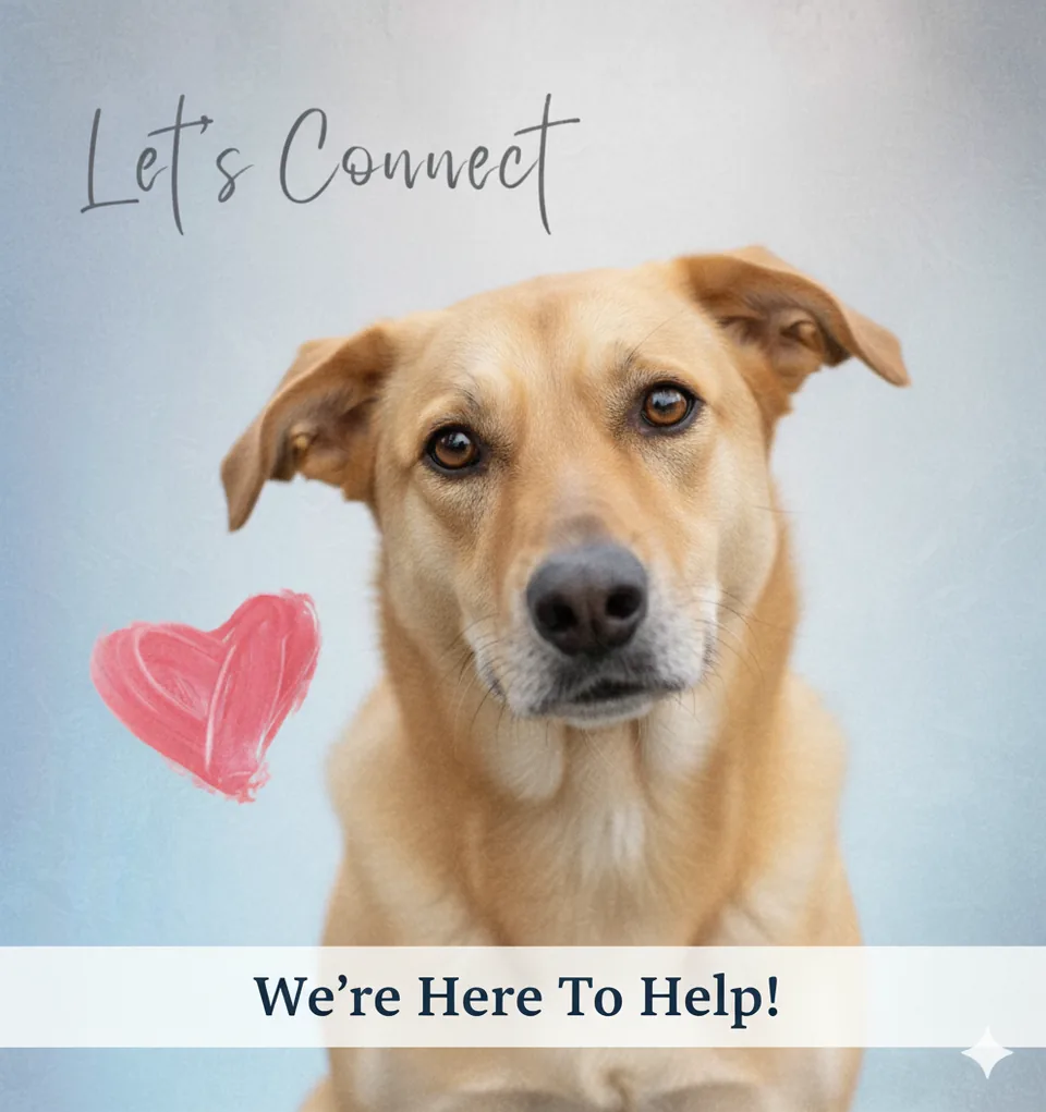 Pet Rescue NZ — Contact us hero image: Let’s Connect